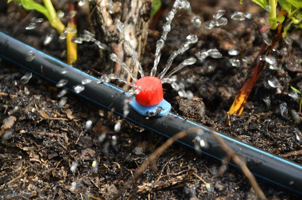 drip irrigation bubble